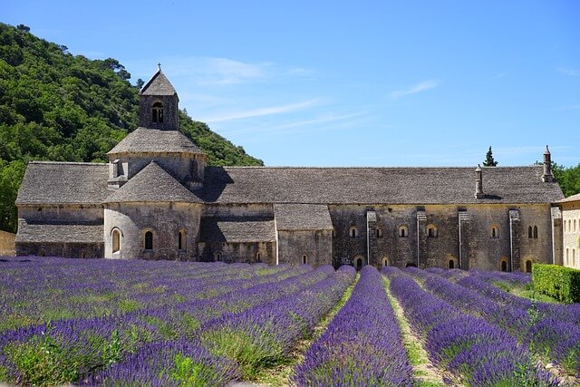 Blühendes Lavendelfeld mit einer Abtei im Hintergrund